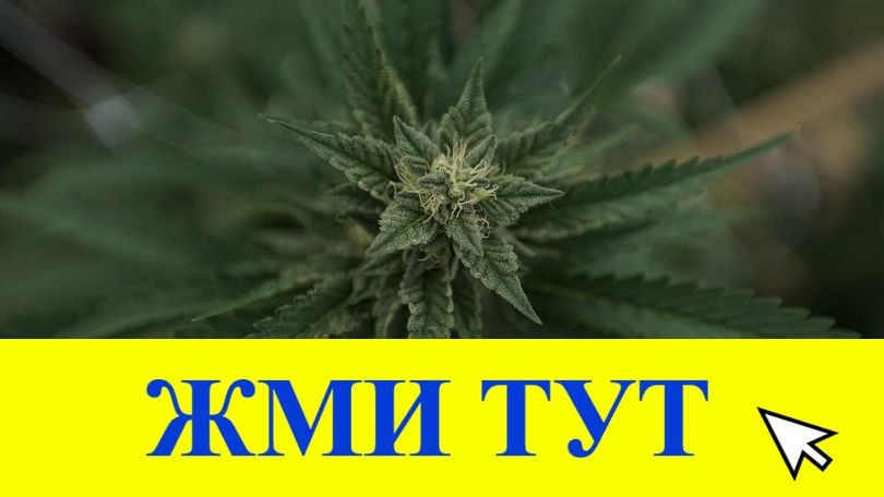 Купить наркотики в Тырныаузе